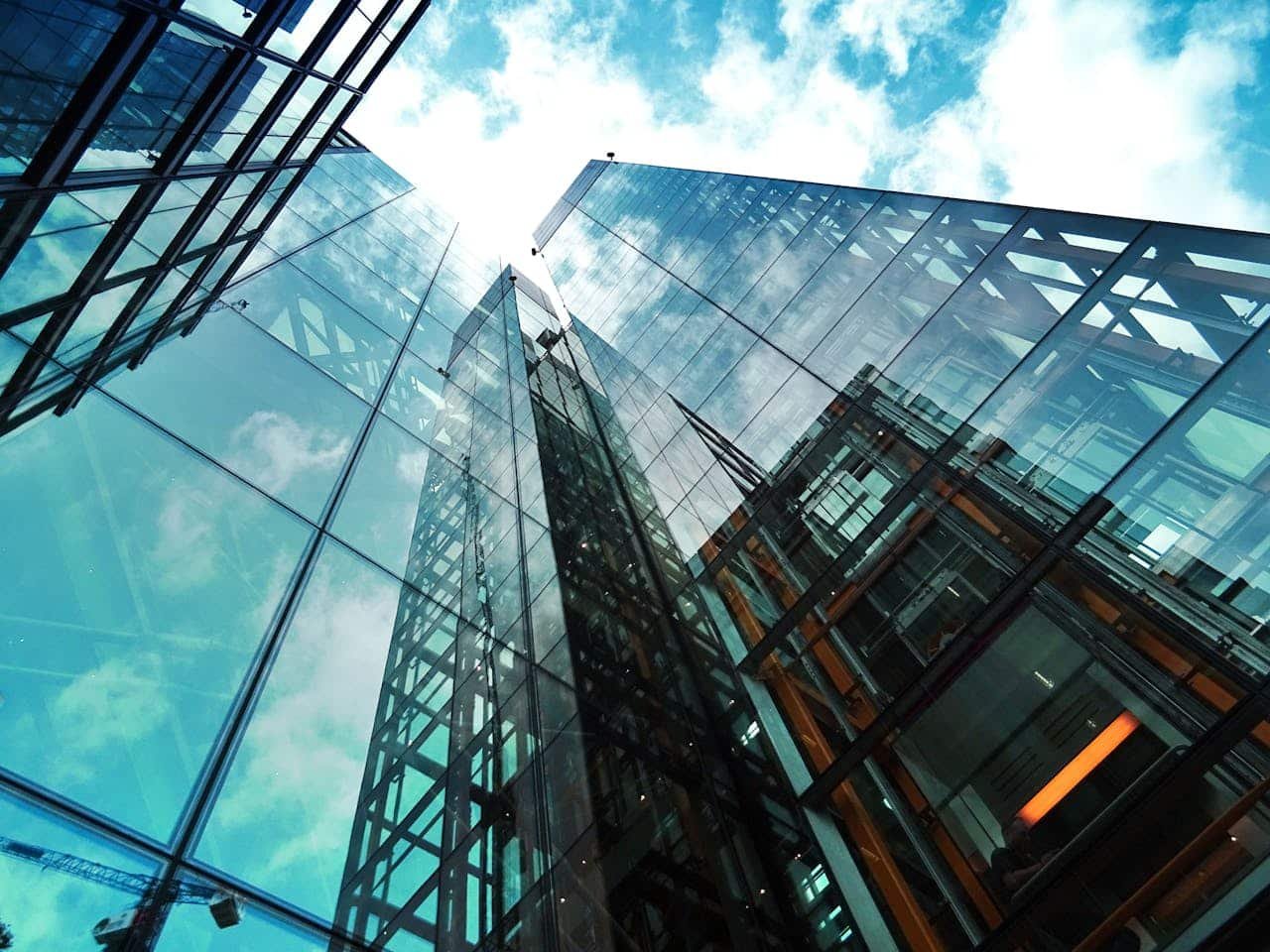 Limited Liability Company (LLC)